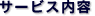 �T�[�r�X���e